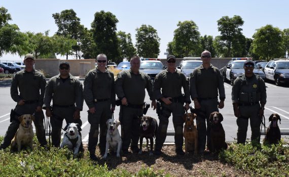 Orange County Sheriffs standing with their K-9s